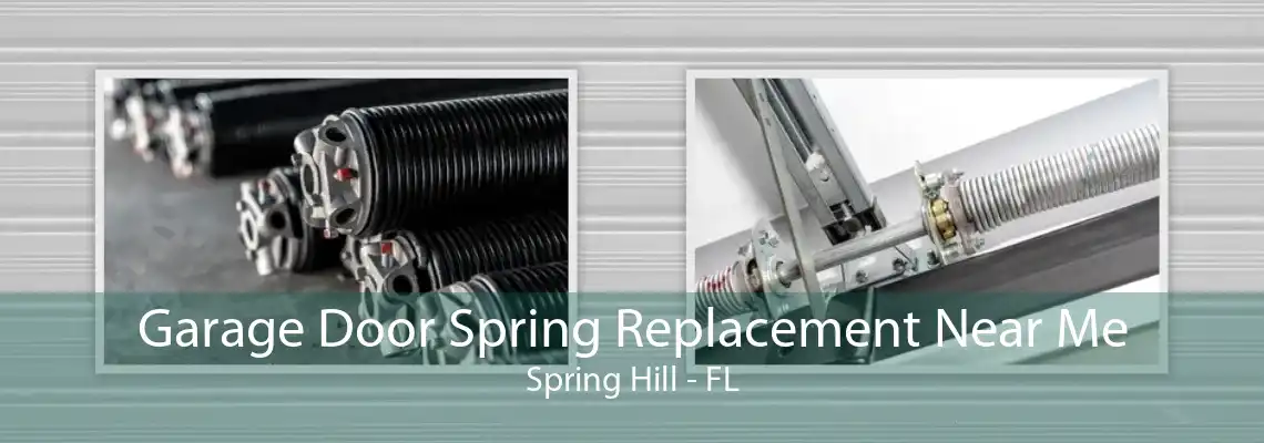 Garage Door Spring Replacement Near Me Spring Hill - FL