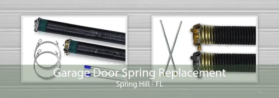 Garage Door Spring Replacement Spring Hill - FL