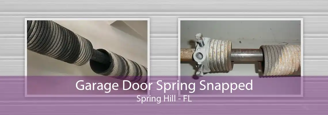 Garage Door Spring Snapped Spring Hill - FL