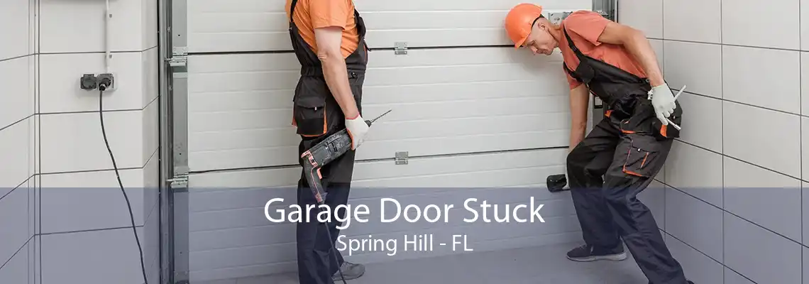 Garage Door Stuck Spring Hill - FL