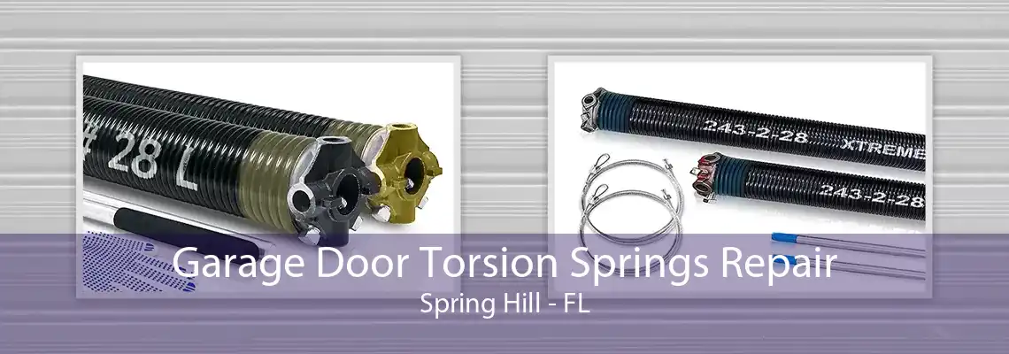 Garage Door Torsion Springs Repair Spring Hill - FL