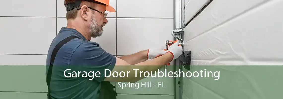 Garage Door Troubleshooting Spring Hill - FL