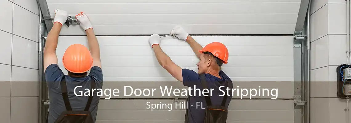 Garage Door Weather Stripping Spring Hill - FL