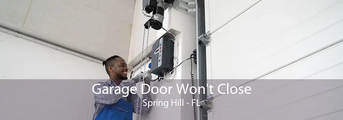 Garage Door Won't Close Spring Hill - FL