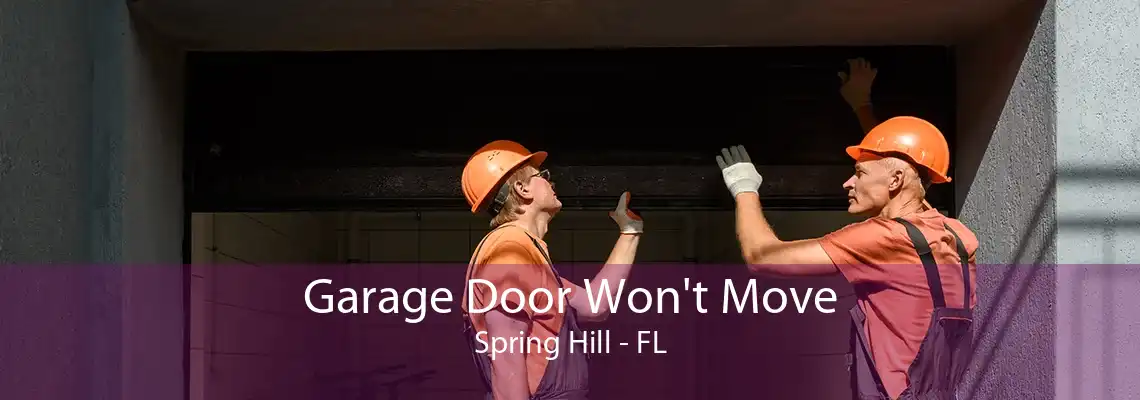 Garage Door Won't Move Spring Hill - FL