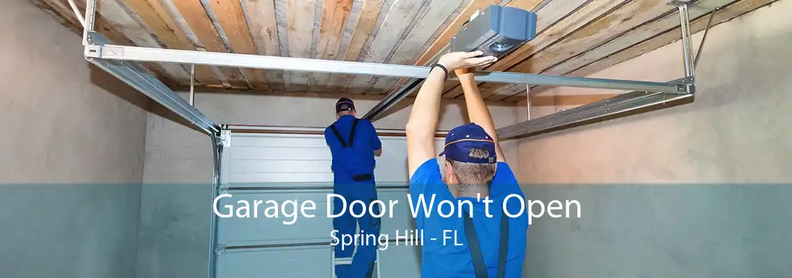 Garage Door Won't Open Spring Hill - FL