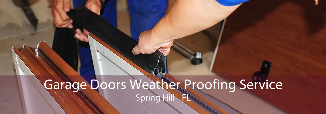 Garage Doors Weather Proofing Service Spring Hill - FL