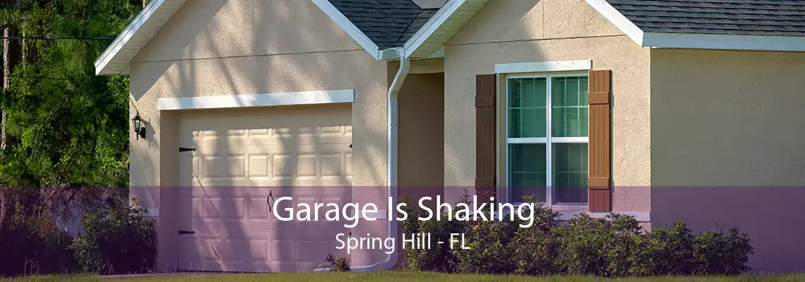 Garage Is Shaking Spring Hill - FL