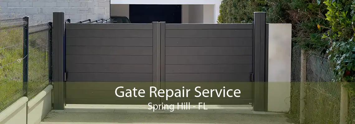 Gate Repair Service Spring Hill - FL