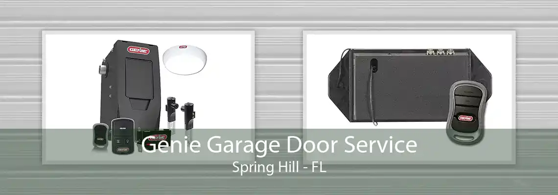 Genie Garage Door Service Spring Hill - FL