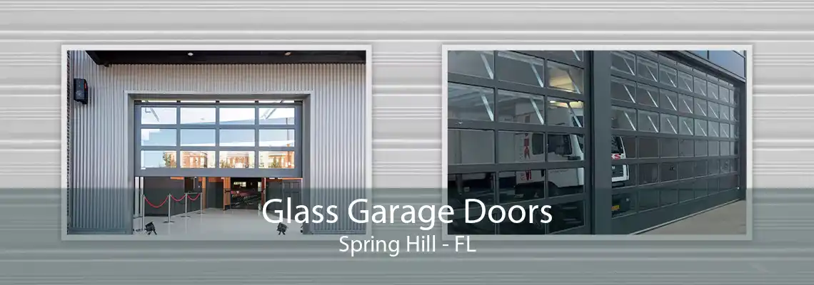 Glass Garage Doors Spring Hill - FL