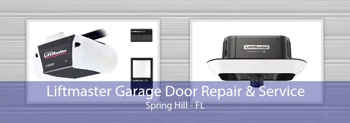 Liftmaster Garage Door Repair & Service Spring Hill - FL