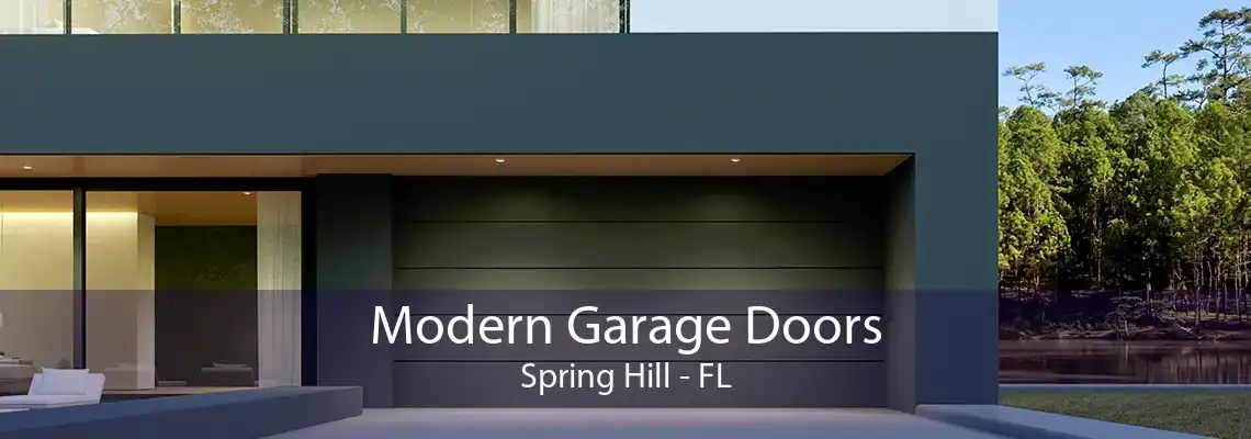 Modern Garage Doors Spring Hill - FL