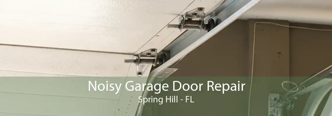 Noisy Garage Door Repair Spring Hill - FL