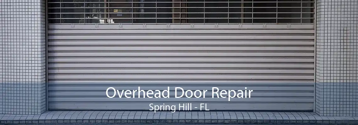 Overhead Door Repair Spring Hill - FL