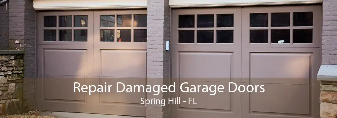 Repair Damaged Garage Doors Spring Hill - FL