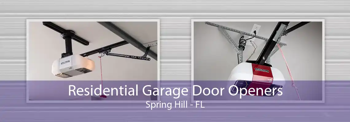 Residential Garage Door Openers Spring Hill - FL