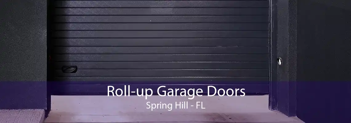 Roll-up Garage Doors Spring Hill - FL