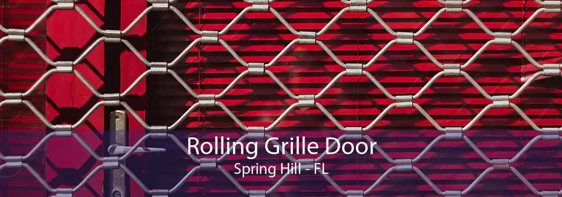 Rolling Grille Door Spring Hill - FL