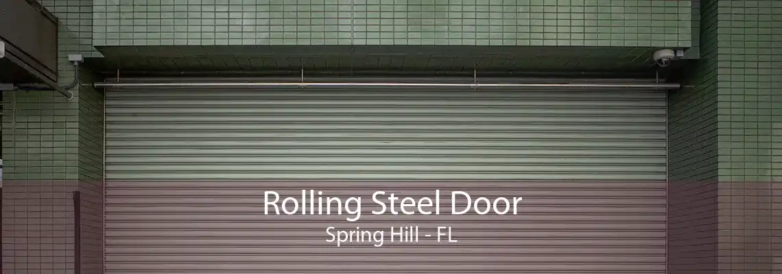 Rolling Steel Door Spring Hill - FL