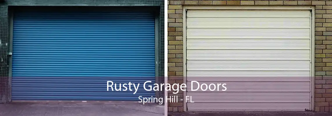 Rusty Garage Doors Spring Hill - FL