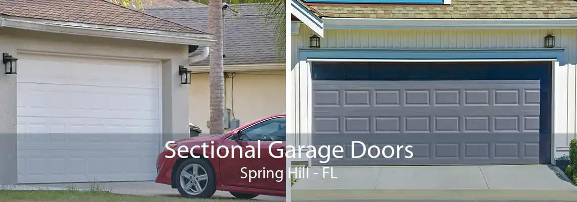 Sectional Garage Doors Spring Hill - FL