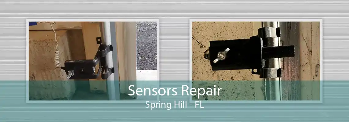 Sensors Repair Spring Hill - FL