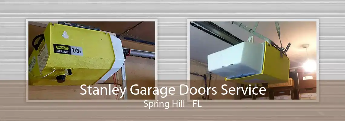 Stanley Garage Doors Service Spring Hill - FL