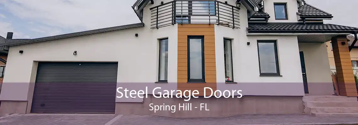 Steel Garage Doors Spring Hill - FL